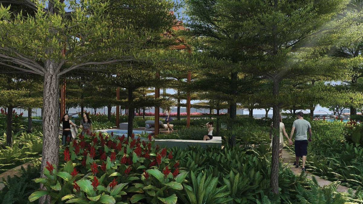 Forest garden