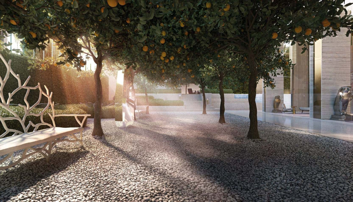 Citrus orchard