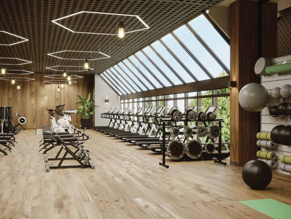 Gymnasium