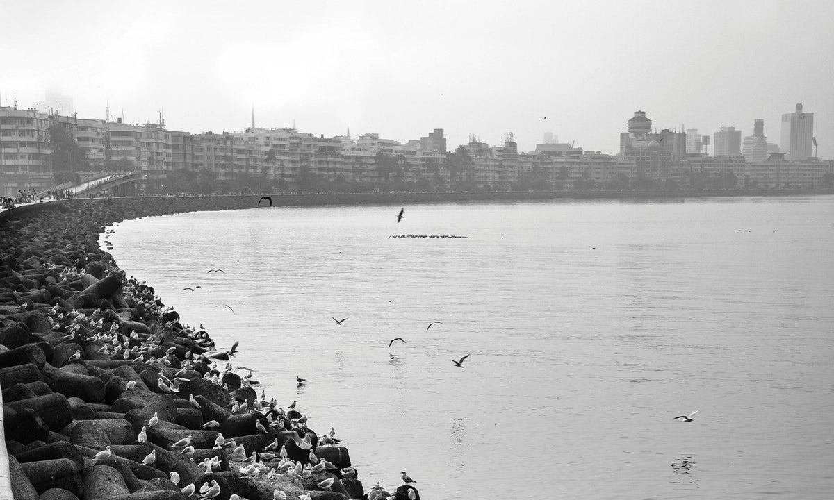 Marine Drive